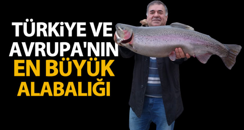 Türkiye ve Avrupa'nın En Büyük Alabalığı Elazığ'da Yakalandı
