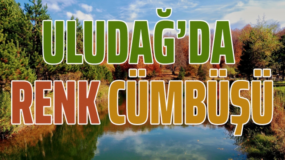Uludağ'da Renk Cümbüşü