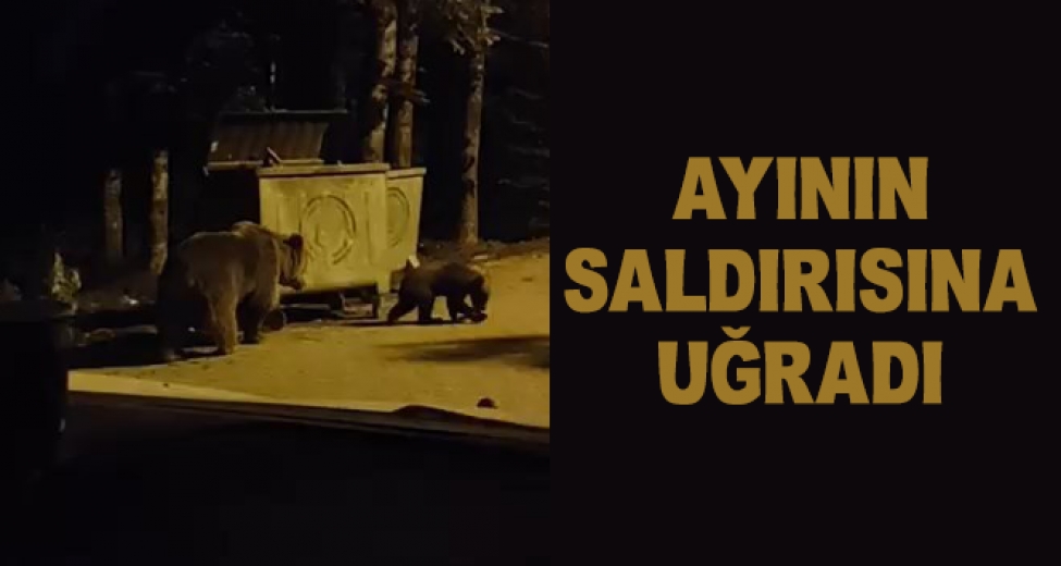 Uludağ'da Turistin Korku Dolu Anları