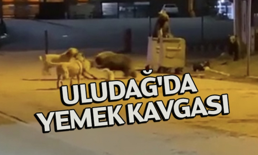 Uludağ'da Yemek Kavgası