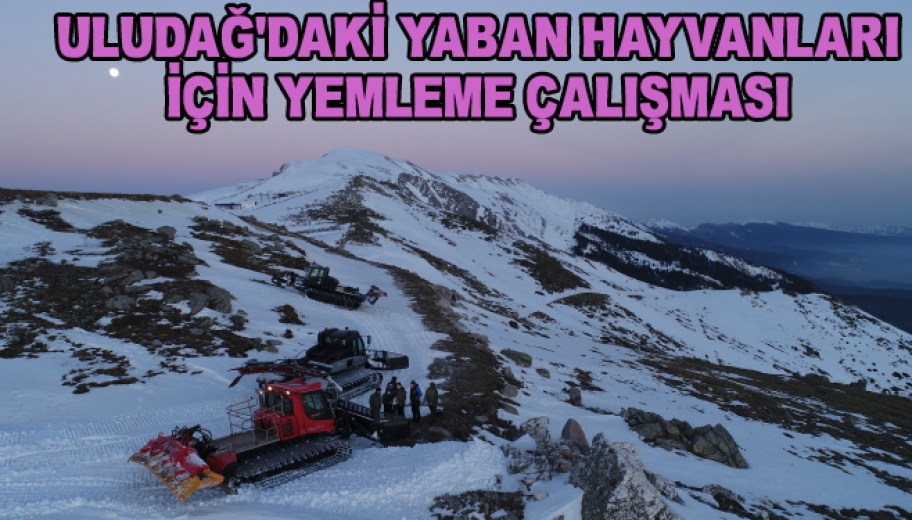 Uludağ'daki Yaban Hayvanları İçin Yemleme Çalışması