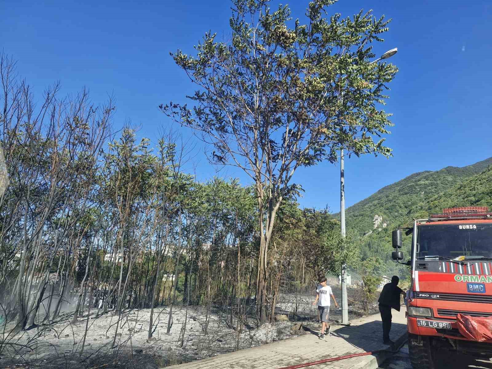 Uludağ Eteklerindeki Ormanlık Alanda Korkutan Yangın