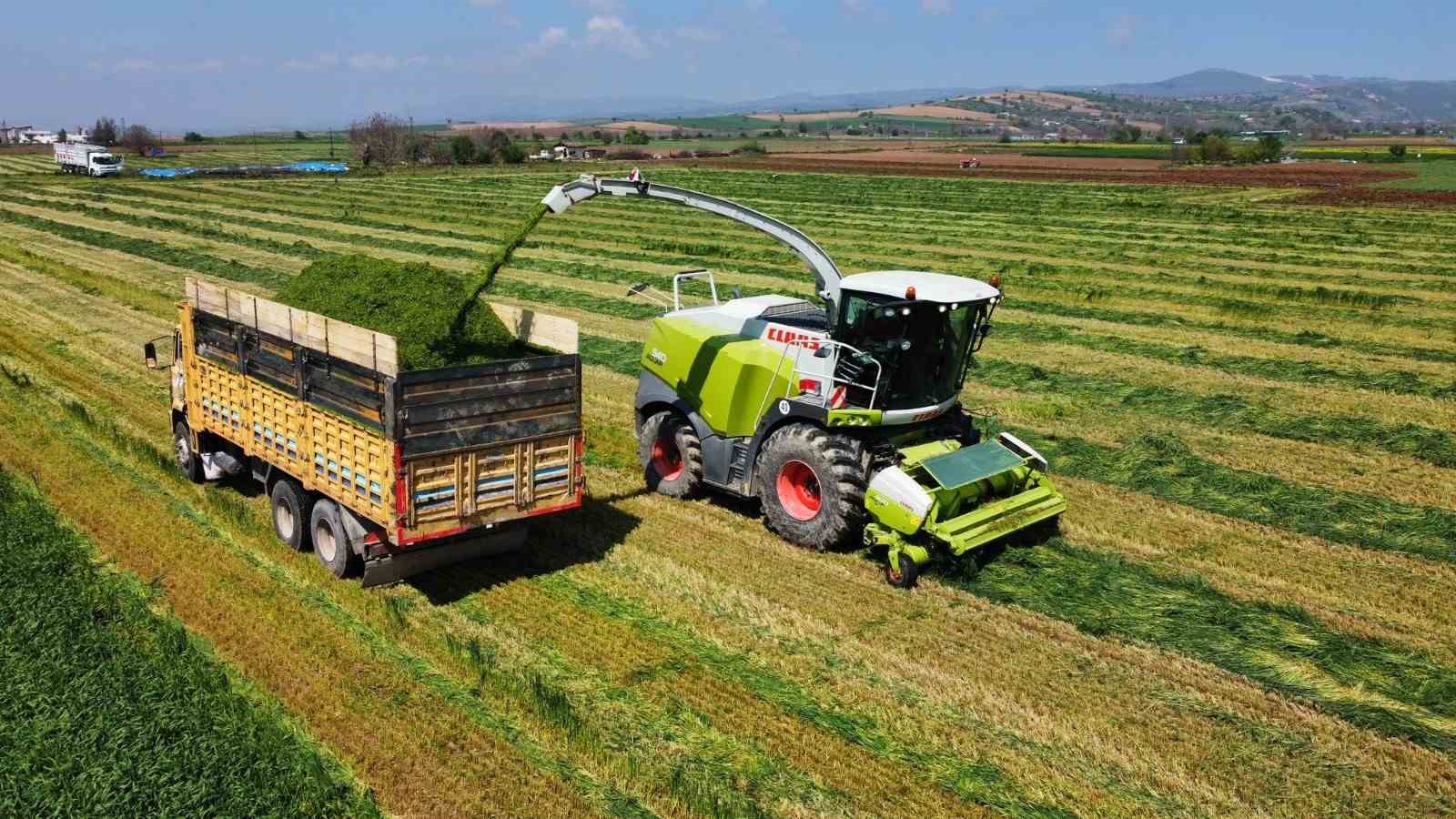 Üreticiler Hasat İçin Sahaya İndi