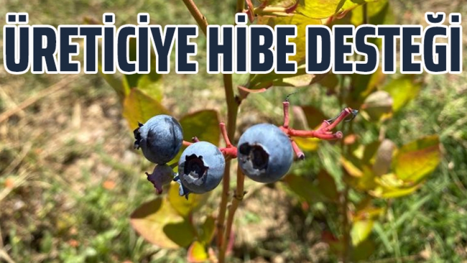 Üreticiye 735 Bin Lira Hibe Desteği