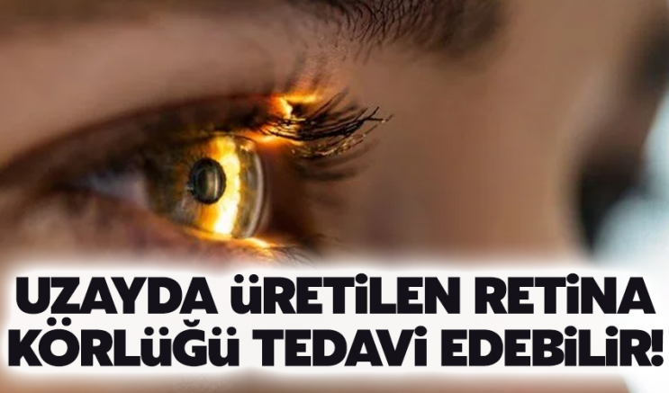 Uzayda üretilen retina, körlüğü tedavi edebilir