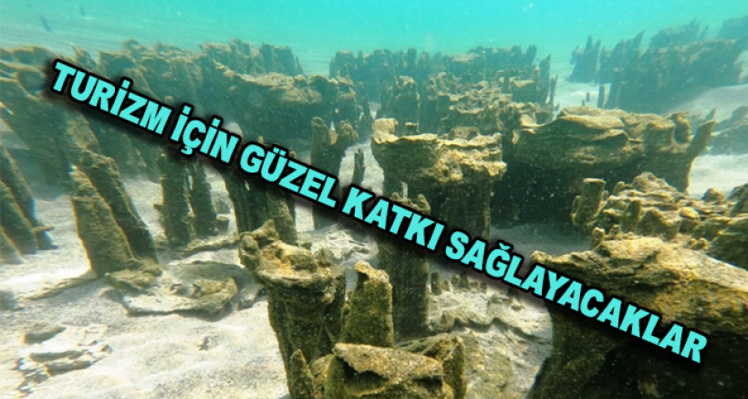 Van Gölü'nde Yeni Mikrobiyalitler Keşfedildi