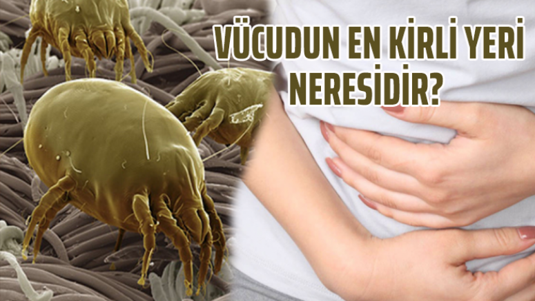 Vücudun en kirli yeri neresi ve nasıl temizlenir?
