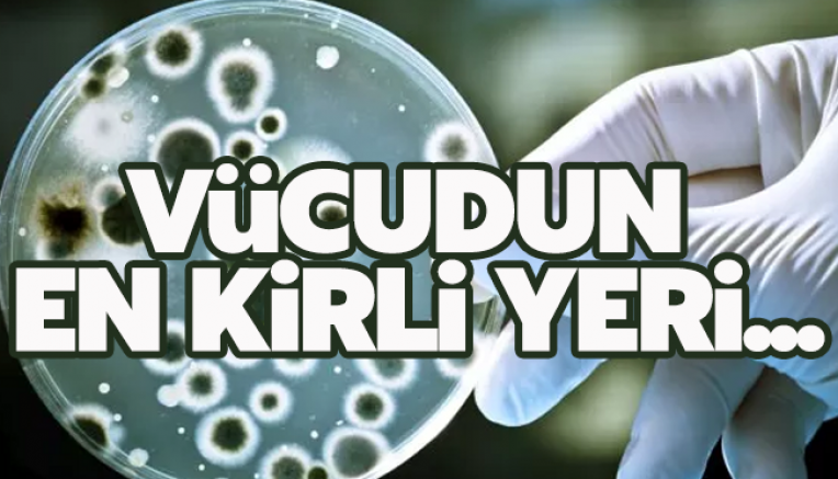 Vücudun en kirli yeri neresi?