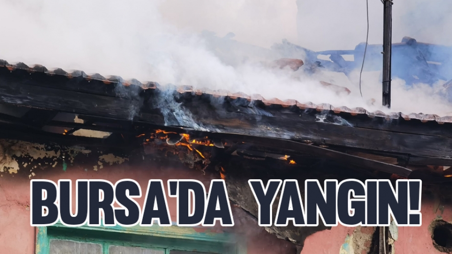 Yangın Mahalle Sakinlerini Sokağa Döktü