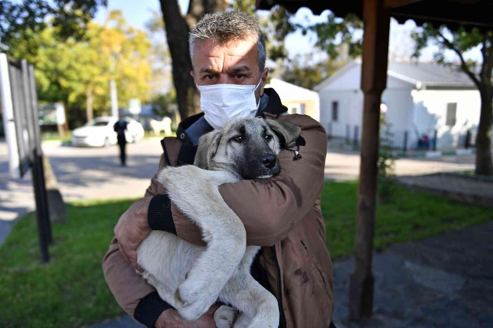 Yaralı Köpeğe Osmangazi Şefkati