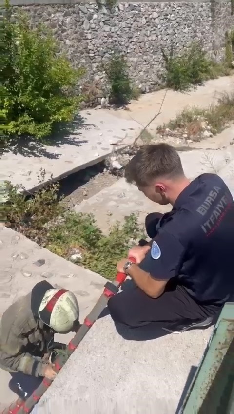 Yaralı Martıyı İftaiye Ekipleri Kurtardı