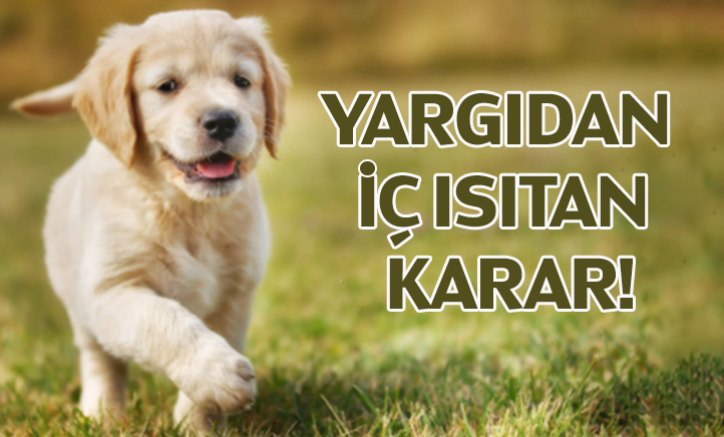 Yargıdan iç ısıtan karar!