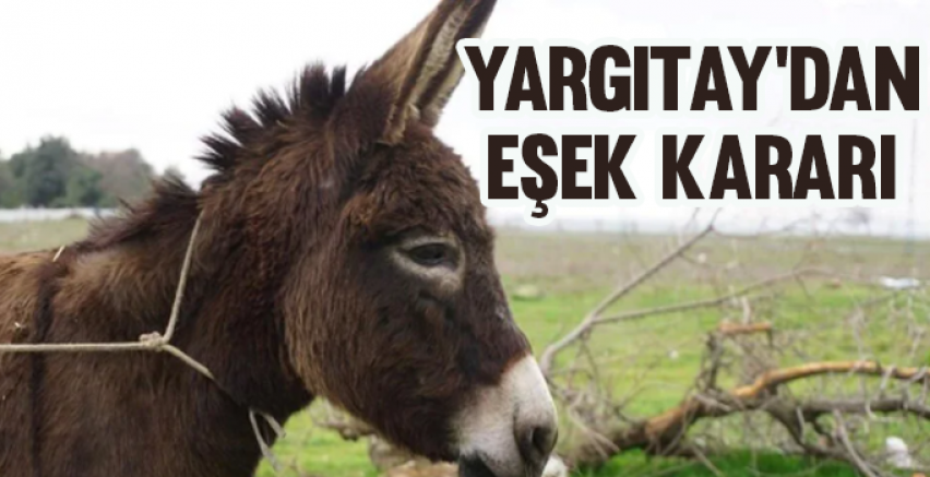 Yargıtay'dan eşek kararı