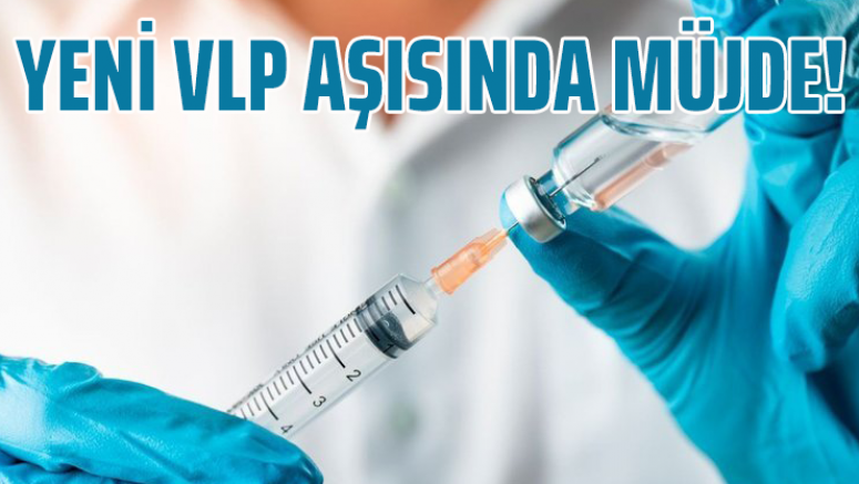 Yeni VLP aşısında müjde!