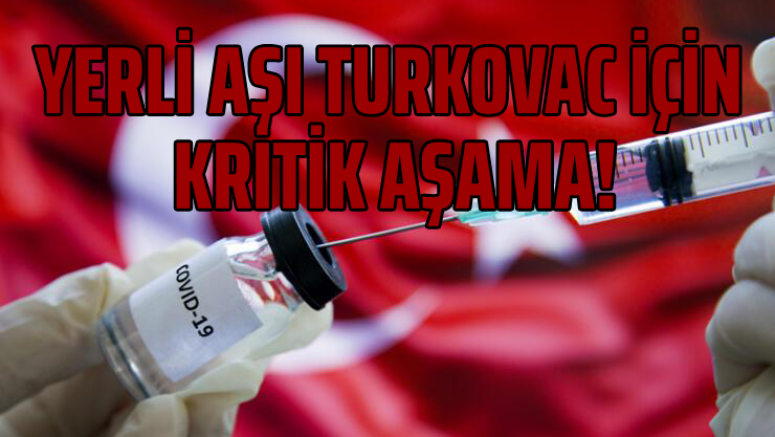 Yerli aşı Turkovac için kritik aşama!
