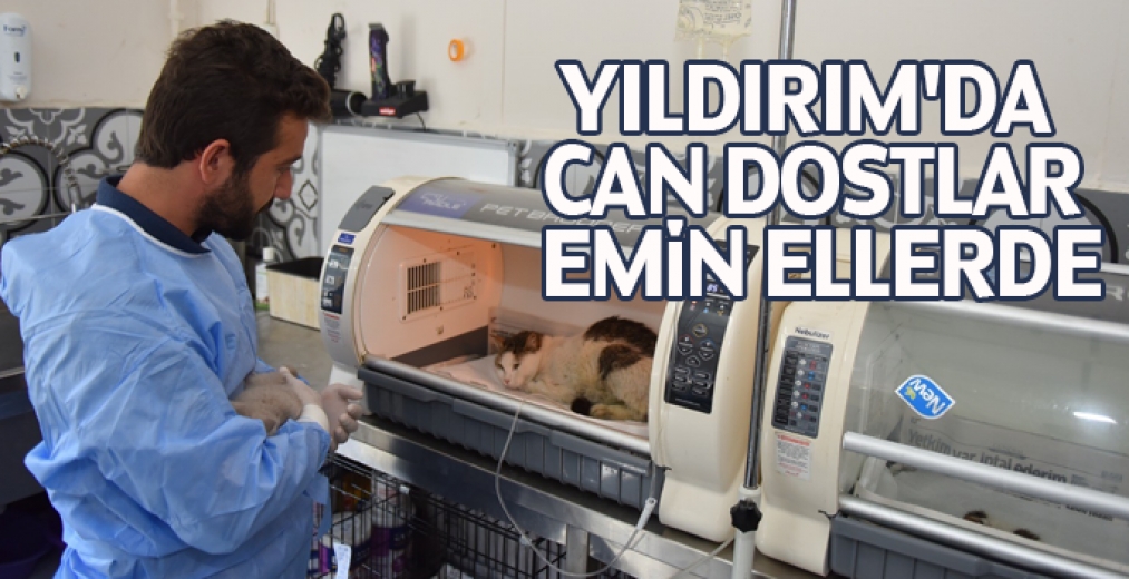 Yıldırım'da Can Dostlar Emin Ellerde