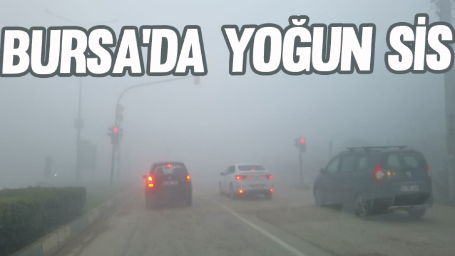 Yoğun Sis Sürücülere Zor Anlar Yaşattı