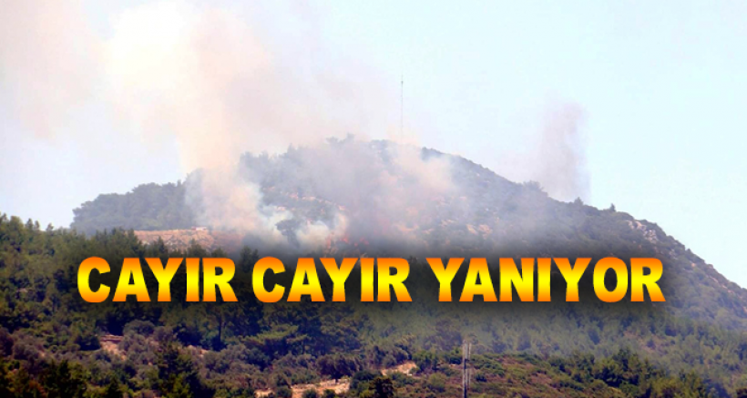 Yunanistan'ın Sisam Adası Yanıyor