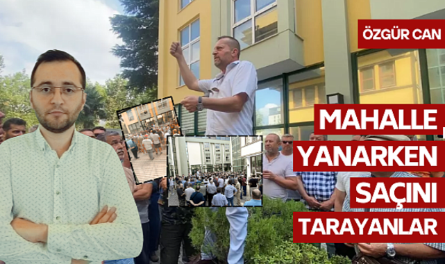 Küller Üzerinde Av Peşinde